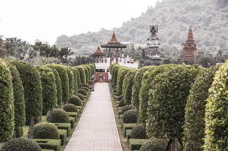 东巴热带植物园