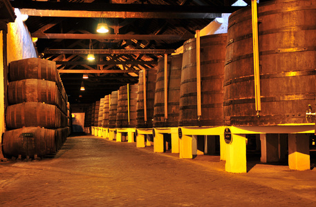 酒之贮藏室,酒窖,一窖酒 藏酒窑照片