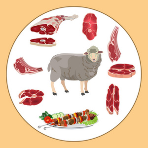 羊肉和绵羊肉照片