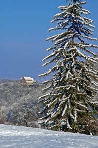 冬季风景与雪