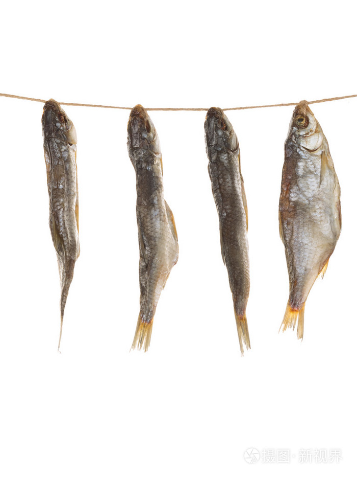 在一根绳子上咸鱼垂直