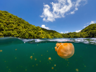 水母湖