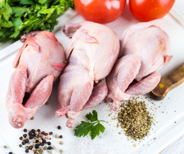 新鲜的整个鸟的鹌鹑与西红柿和莳萝鸵鸟里脊肉天空的鸟巨嘴鸟在野生