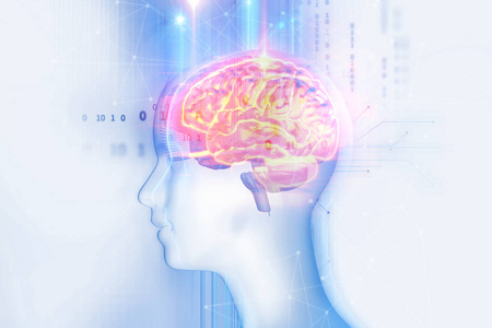 3d 渲染的人类大脑的技术背景