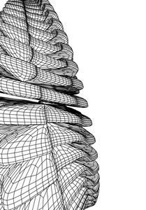 3d 草绘单色体系结构