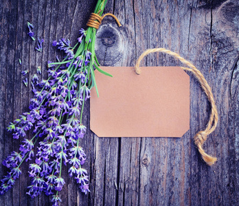 熏衣草庄园写真图片-熏衣草庄园写真素材-熏衣草庄园写真插画-摄图新视界