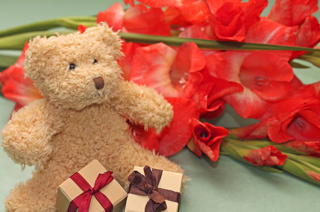 小小的礼品盒和鲜花的泰迪熊