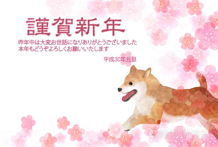 狗梅花开花新年卡背景插画 正版商用图片00kv2n 摄图新视界