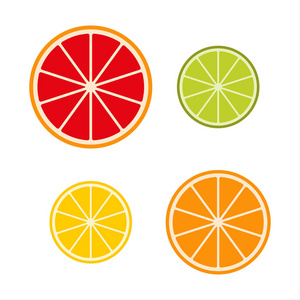 收集的柑橘片 葡萄柚 石灰 柠檬和桔子 水果图标集 矢量图