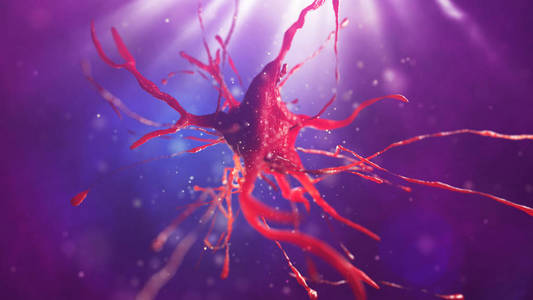 神经细胞的三维图