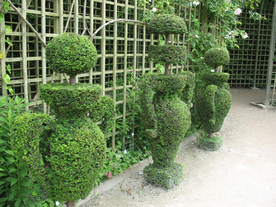 花坛 花池子照片