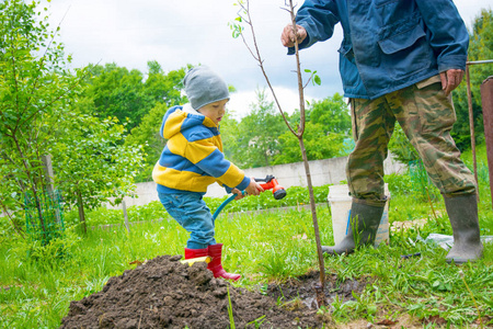 从花园里直图片
