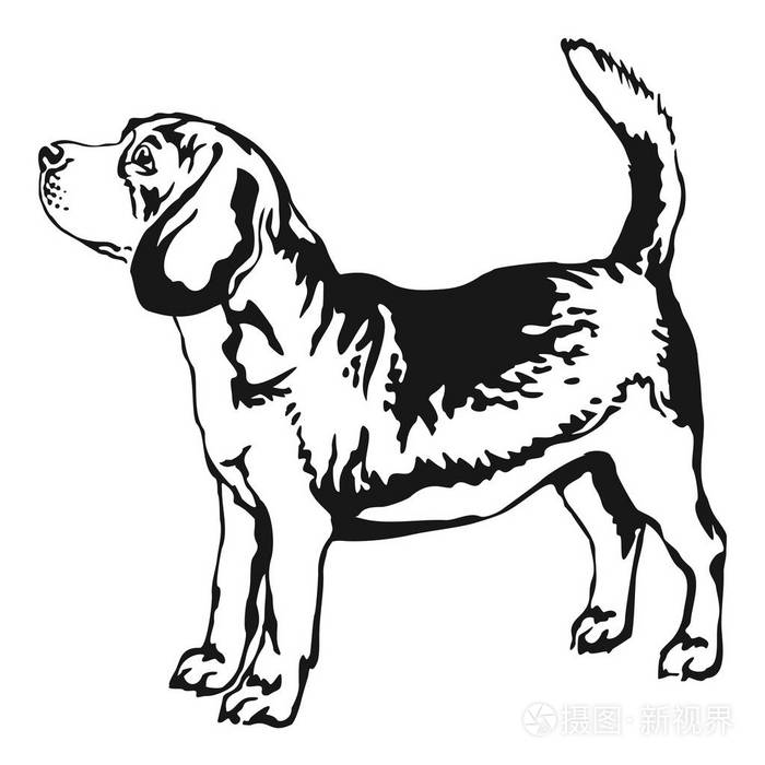小猎犬矢量插图装饰站肖像插画-正版商用图片00l1e0-摄图新视界