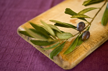 橄榄 olive的名词复数  橄榄树 橄榄色 油橄榄