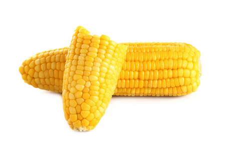 玉米在白色背景上的耳朵