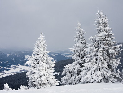 冬天下雪的山