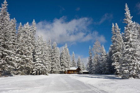 雪后的冬季景观
