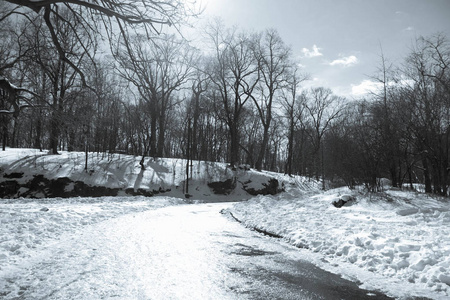 树上冰雪路在曲线中的复古风格