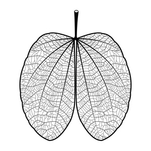 白色背景上的黑色叶轮廓