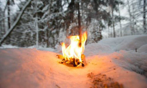 一个飘雪的结算在树林里的篝火