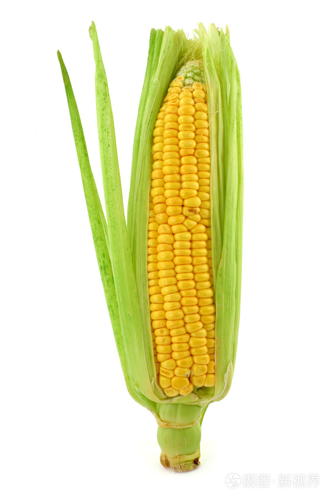 玉米棒子照片-正版商用图片00mfy3-摄图新视界