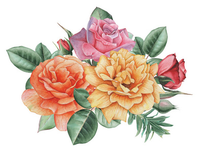 手绘水彩迷人组合的花和叶子,白色背景上孤立照片