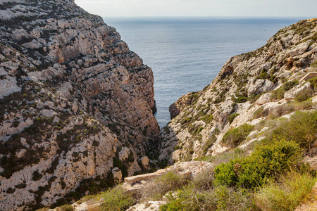 外来植物海岸的马耳他岛所涵盖的石灰石岩石。在岩石中的天然避风港