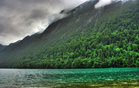 湖泊和森林景观