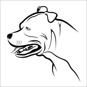纯比特犬图片