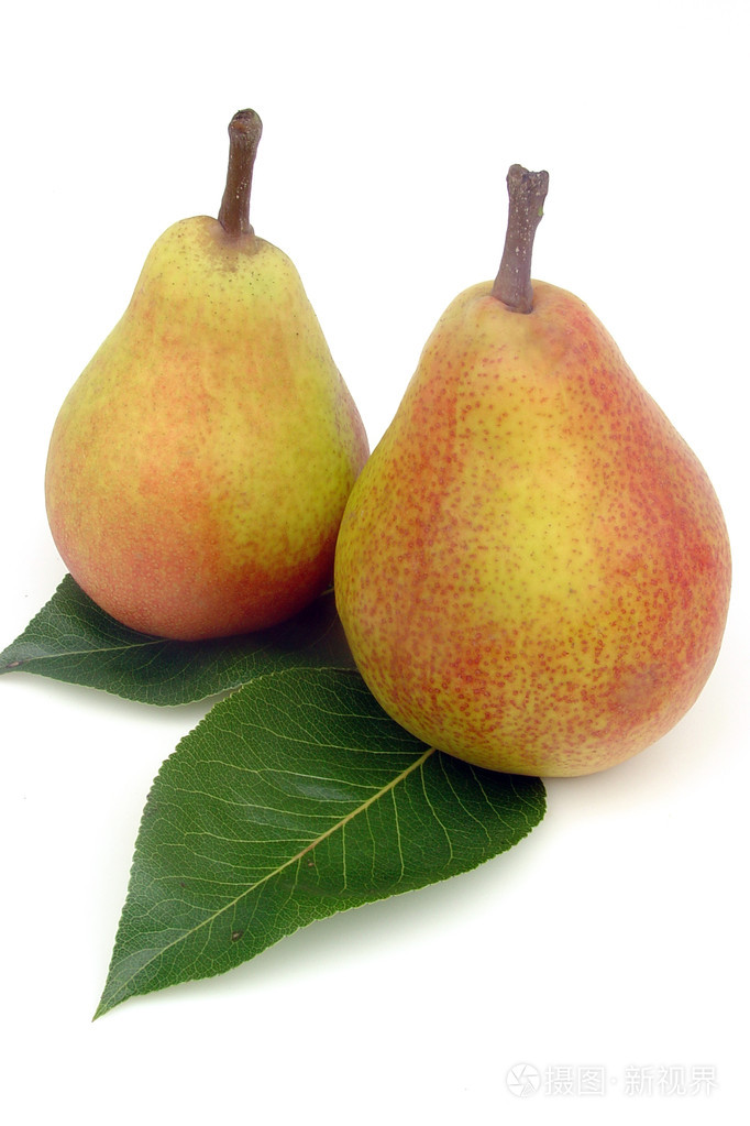 梨树pear的名词复数