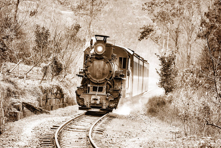蒸汽窄轨小火车图片
