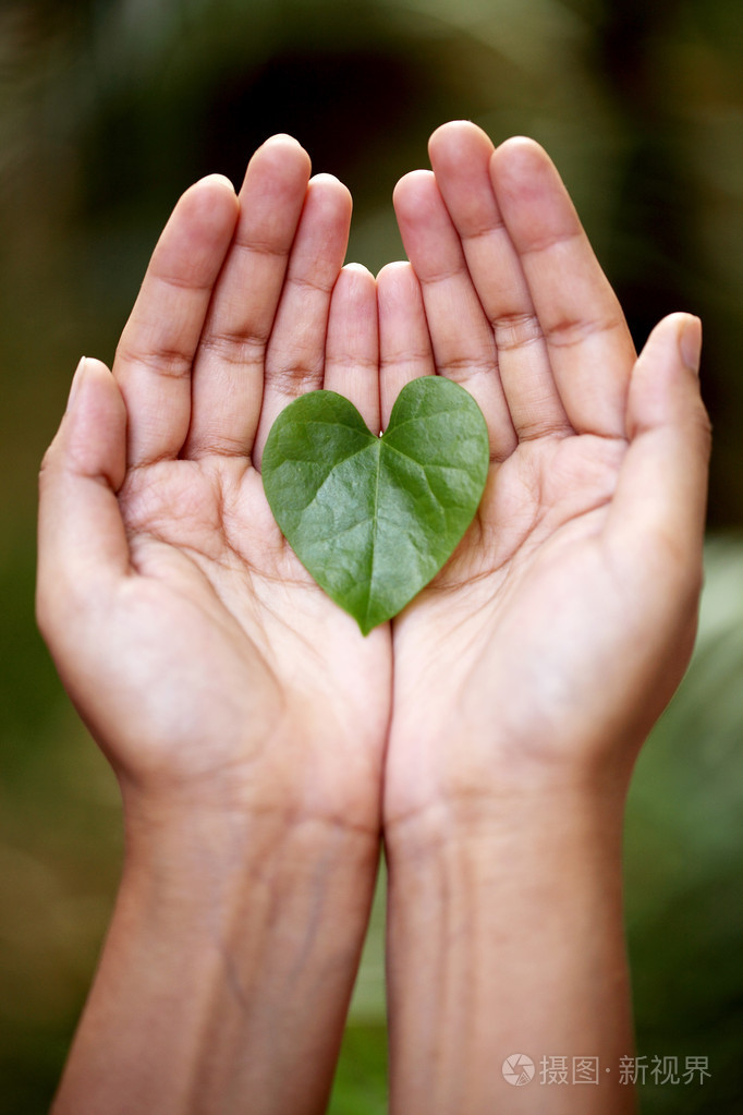 手里捧着一颗心塑造绿色的叶子