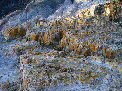 高山峡谷到婆罗洲图片