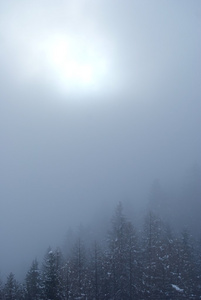 高山太阳