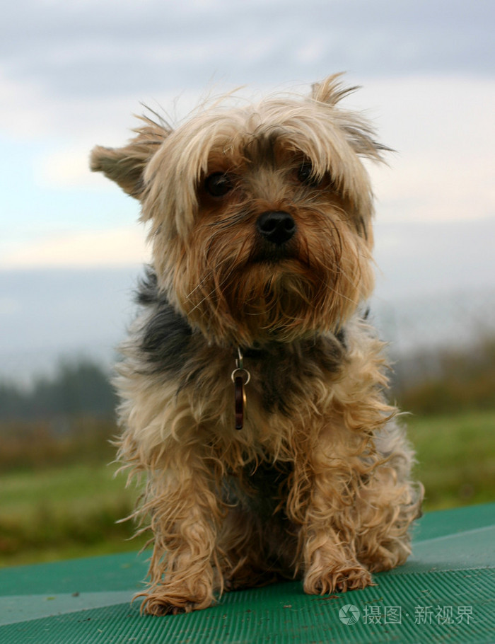 约克郡约克夏英国英格兰原郡名