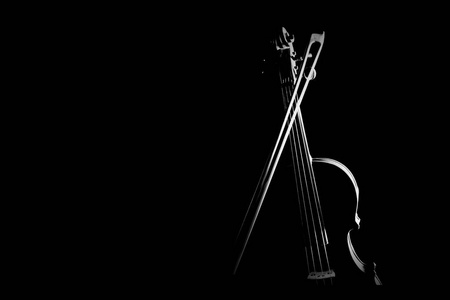 孤立在黑色的蝴蝶结的小提琴