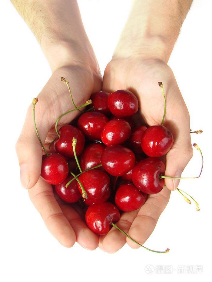 手掌上的甜樱桃