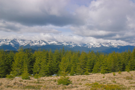 在喀尔巴阡山的春天风景