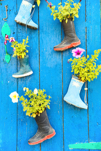 鲜花盛开的旧橡胶靴子。