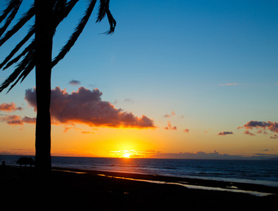日落的热带海滩上的棕榈树剪影