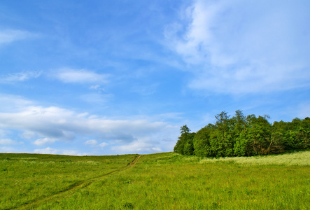 春季景观