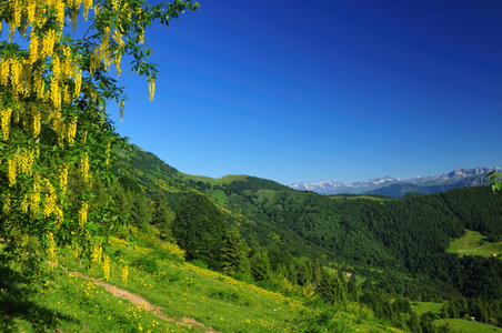 黄花山地景观图片