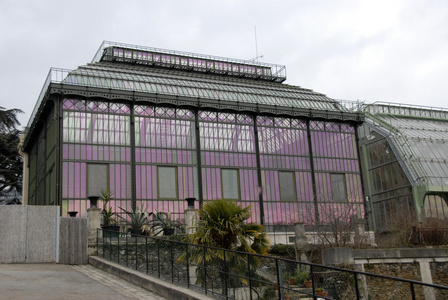巴黎博物馆温室图片