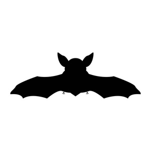 黑蝙蝠素材图片 黑蝙蝠图片素材下载 摄图新视界