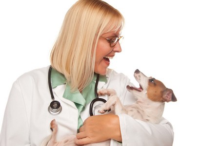 女医生兽医和小狗