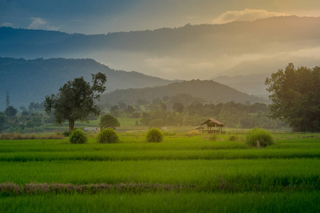 小屋在泰国农村农业领域