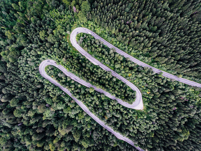 一条蜿蜒的小路，在森林里的鸟瞰图