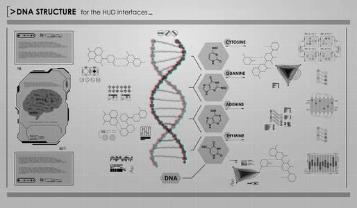 平视显示器的信息图表元素与 Dna 结构。未来的用户界面。抽象的虚拟图形