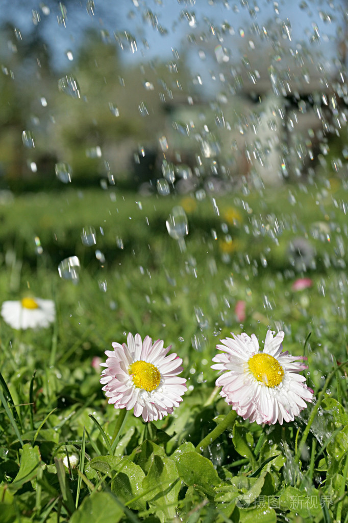 雨热带地区的雨季雨天雨点般降落的东西俚电子流
