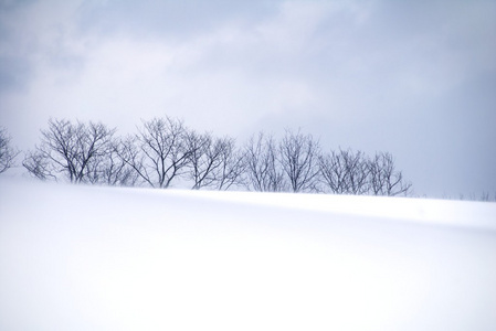 雪毯